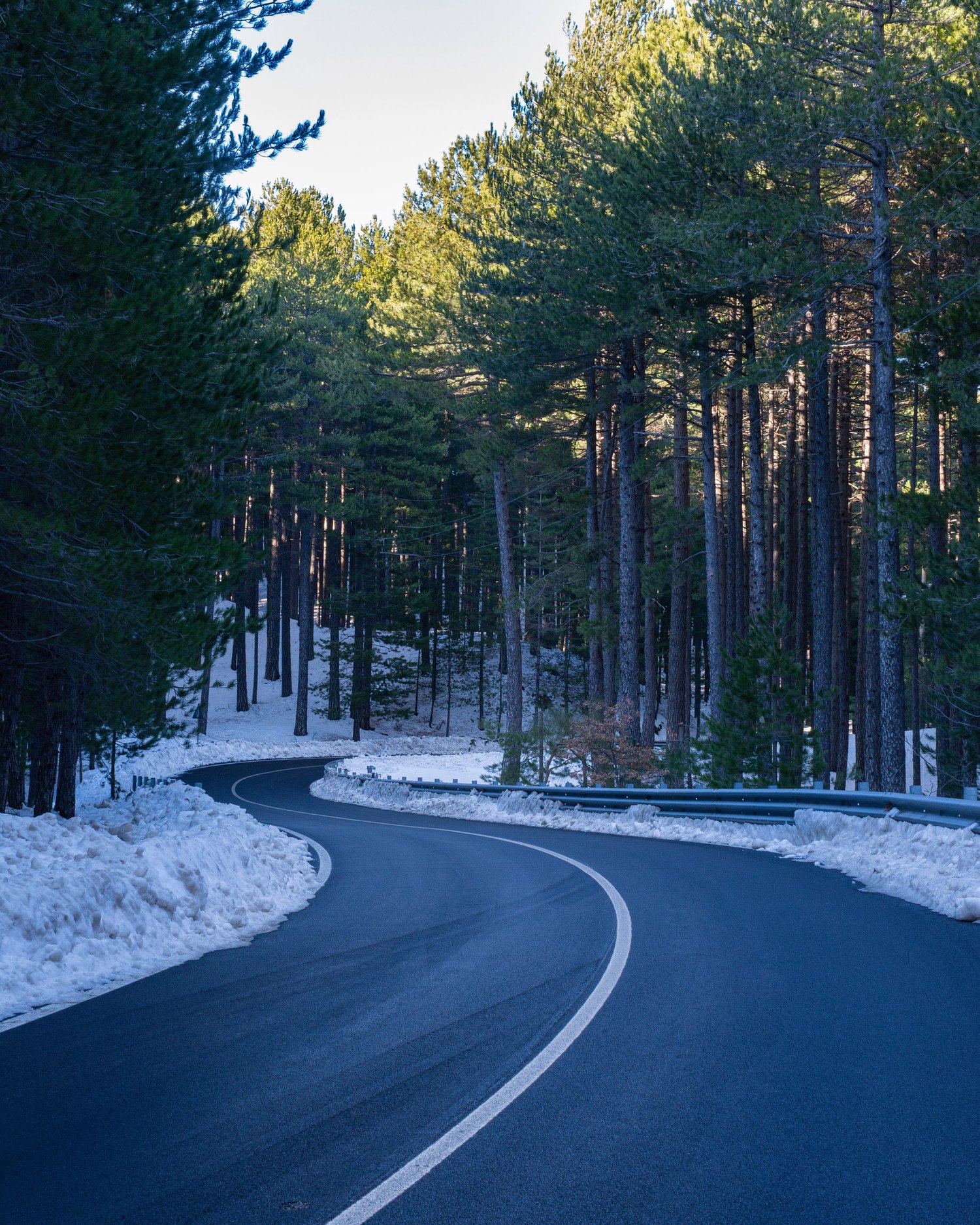 Strada innevata sull'Etna, fotografia paesaggistica, naturalistica contemplativa